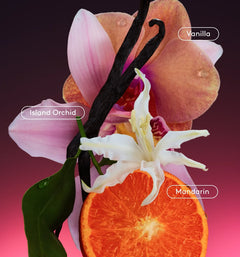 Daily Refresh Set - Layered Wellness Pink Assortment