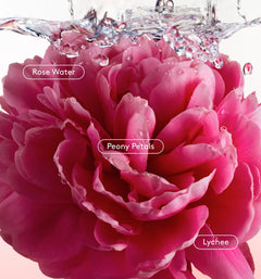 All Over Deo - Signature Kitchen Bloom Assortment